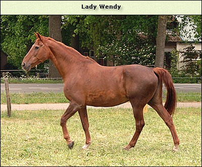 Lady Wendy