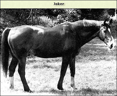 Joker