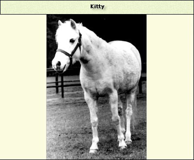 Kitty