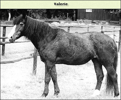 Valerie