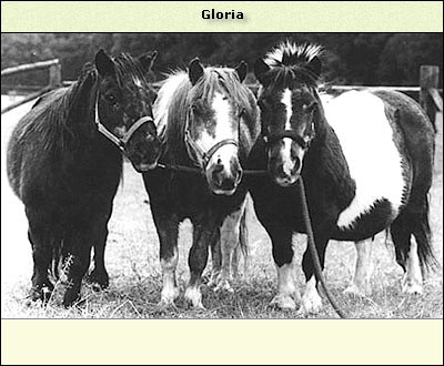 Gloria