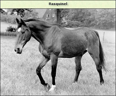 Rasquinel