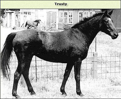 Trusty