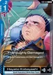 Thoroughly Damaged #12