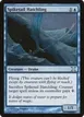 Spiketail Hatchling #111