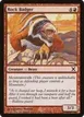 Rock Badger #226