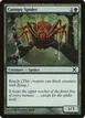 Canopy Spider #254