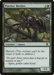 Pincher Beetles #285