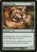Stalking Tiger #299