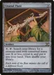Citanul Flute #315