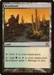 Brushland #349