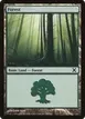 Forest #381