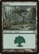Forest #382