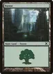 Forest #383