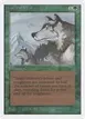 Aspect of Wolf #185