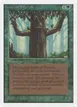 Ironroot Treefolk #204