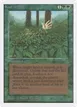 Kudzu #205