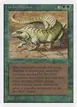 Thicket Basilisk #219
