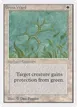 Green Ward #21
