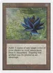 Black Lotus #233