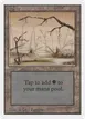 Swamp #295