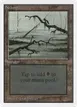 Swamp #296