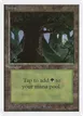 Forest #302
