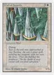 Wall of Swords #43