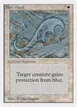 Blue Ward #8