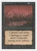 Cursed Land #98