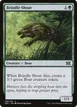 Brindle Shoat #139