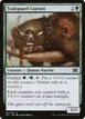 Tuskguard Captain #163