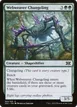 Webweaver Changeling #164