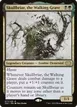 Skullbriar, the Walking Grave #277
