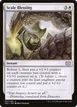 Scale Blessing #27