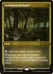 Forbidden Orchard #571