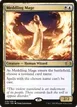 Meddling Mage #210