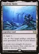 Academy Ruins #309