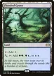 Flooded Grove #318