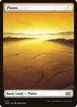 Plains #373