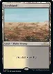 Scrubland #277