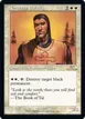 Northern Paladin #326