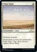 White Ward #44