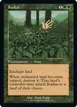 Kudzu #497