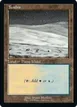 Tundra #577