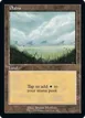 Plains #580