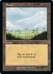 Plains #581
