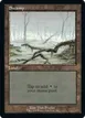 Swamp #586