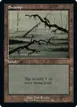 Swamp #588