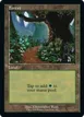 Forest #593